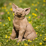 Campania Perky Pig Garden Statue - A-319