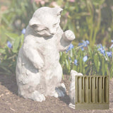 Campania Playful Kitten Garden Statue - A-330