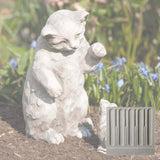 Campania Playful Kitten Garden Statue - A-330