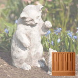 Campania Playful Kitten Garden Statue - A-330