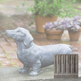 Campania Fritz Garden Statue - A-338