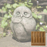 Campania Baby Barn Owl Garden Statue - A-346