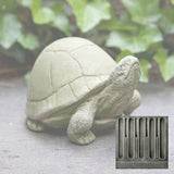 Campania Box Turtle Garden Statue - A-348