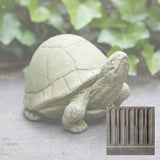 Campania Box Turtle Garden Statue - A-348