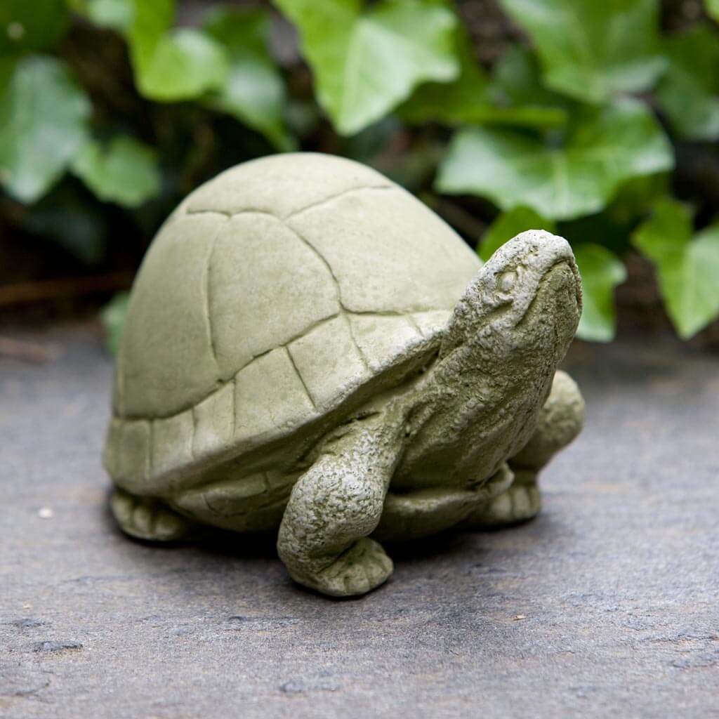 Campania Box Turtle Garden Statue - A-348