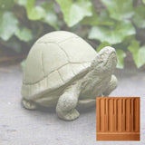 Campania Box Turtle Garden Statue - A-348