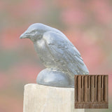 Campania Small Raven Garden Statue - A-357