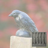 Campania Small Raven Garden Statue - A-357