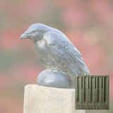 Campania Small Raven Garden Statue - A-357
