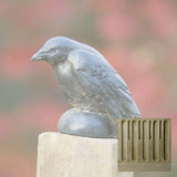 Campania Small Raven Garden Statue - A-357