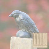 Campania Small Raven Garden Statue - A-357