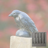 Campania Small Raven Garden Statue - A-357