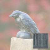 Campania Small Raven Garden Statue - A-357
