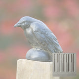 Campania Small Raven Garden Statue - A-357