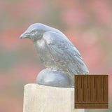 Campania Small Raven Garden Statue - A-357