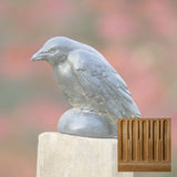 Campania Small Raven Garden Statue - A-357