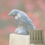 Campania Small Raven Garden Statue - A-357