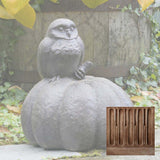 Campania Owl on Pumpkin Garden Statue - A-361