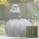 Campania Owl on Pumpkin Garden Statue - A-361