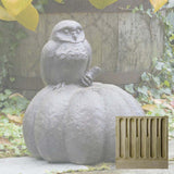 Campania Owl on Pumpkin Garden Statue - A-361