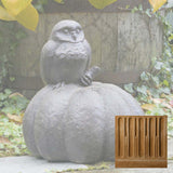Campania Owl on Pumpkin Garden Statue - A-361