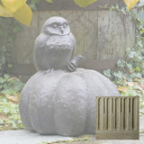 Campania Owl on Pumpkin Garden Statue - A-361