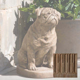 Campania Mugsy Garden Statue - A-374