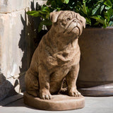 Campania Mugsy Garden Statue - A-374
