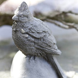 Campania Cardinal Garden Statue - A-391