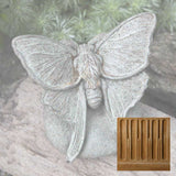 Campania Lunar Moth Garden Statue - A-395