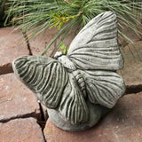 Campania Butterfly Garden Statue - A-396