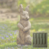 Campania Father Rabbit Garden Statue - A-413
