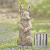 Campania Father Rabbit Garden Statue - A-413