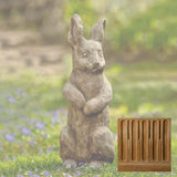 Campania Father Rabbit Garden Statue - A-413