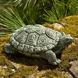 Campania My Pet Turtle Garden Statue - A-421