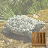 Campania My Pet Turtle Garden Statue - A-421