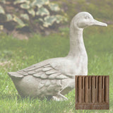 Campania Quackers Garden Statue - A-436
