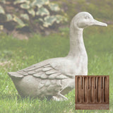 Campania Quackers Garden Statue - A-436
