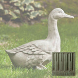 Campania Quackers Garden Statue - A-436