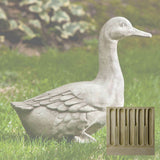 Campania Quackers Garden Statue - A-436