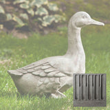 Campania Quackers Garden Statue - A-436