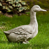 Campania Quackers Garden Statue - A-436