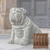 Campania Antique Bulldog Garden Statue - A-456
