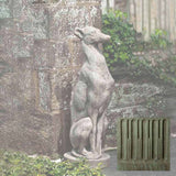 Campania Antique Greyhound Garden Statue - A-478