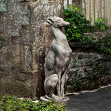 Campania Antique Greyhound Garden Statue - A-478