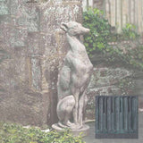 Campania Antique Greyhound Garden Statue - A-478