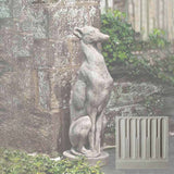 Campania Antique Greyhound Garden Statue - A-478