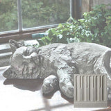 Campania Dreaming Kitty Garden Statue - A-485