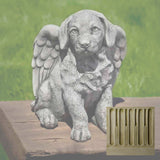Campania Angel Puppy Garden Statue - A-491