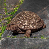 Campania Ole Crusty Garden Statue - A-502